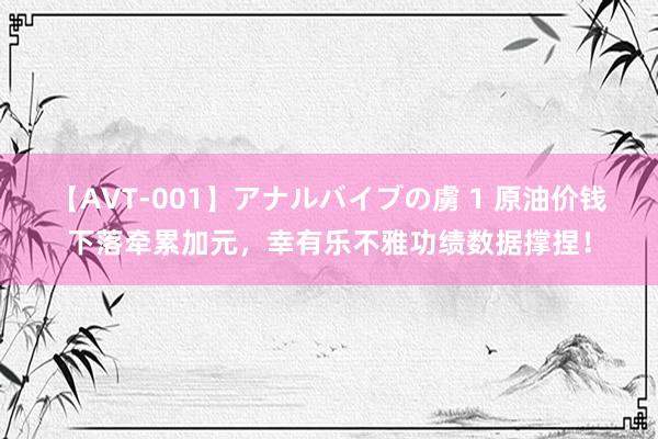 【AVT-001】アナルバイブの虜 1 原油价钱下落牵累加元，幸有乐不雅功绩数据撑捏！