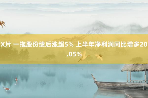 X片 一拖股份绩后涨超5% 上半年净利润同比增多20.05%