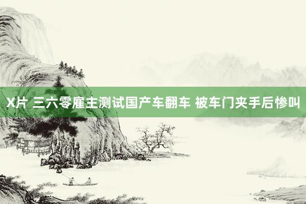 X片 三六零雇主测试国产车翻车 被车门夹手后惨叫