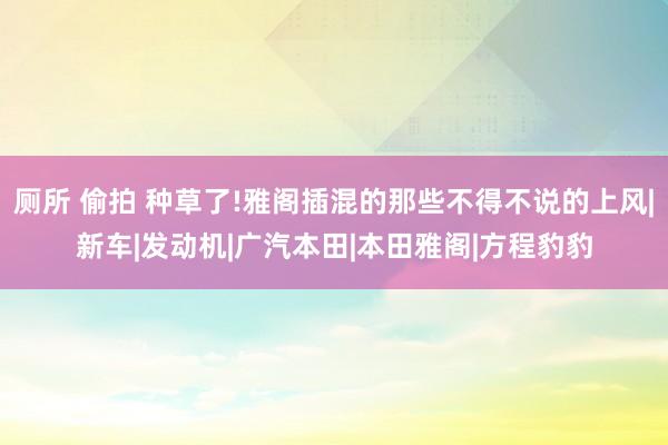 厕所 偷拍 种草了!雅阁插混的那些不得不说的上风|新车|发动机|广汽本田|本田雅阁|方程豹豹