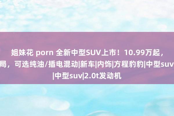 姐妹花 porn 全新中型SUV上市！10.99万起，配大七座布局，可选纯油/插电混动|新车|内饰|方程豹豹|中型suv|2.0t发动机