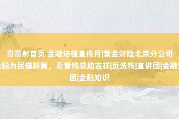 哥哥射首页 金融培植宣传月|紫金财险北京分公司：金融为民谱新篇，看管钱袋助吉祥|反洗钱|宣讲团|金融