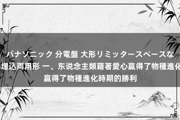 パナソニック 分電盤 大形リミッタースペースなし 露出・半埋込両用形 一、东说念主類藉著愛心贏得了物種進化時期的勝利