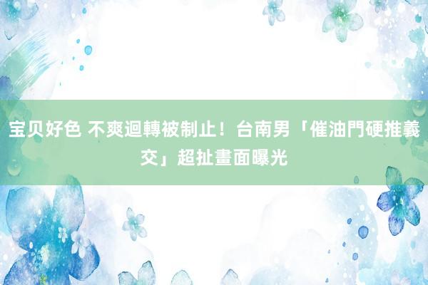 宝贝好色 不爽迴轉被制止！台南男「催油門硬推義交」　超扯畫面曝光